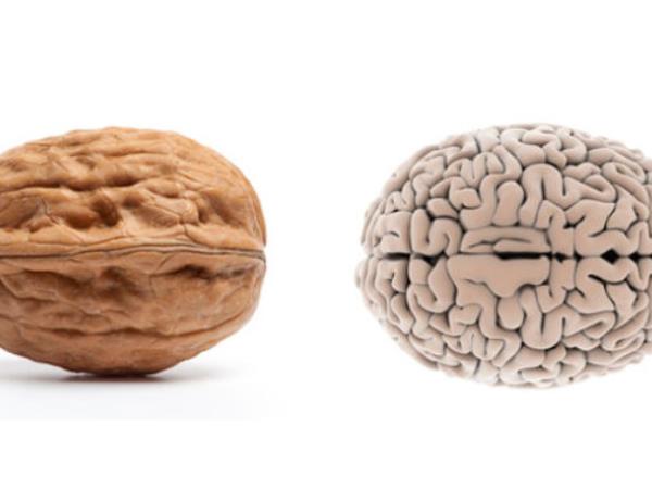 Ali podobnost res zdravi?